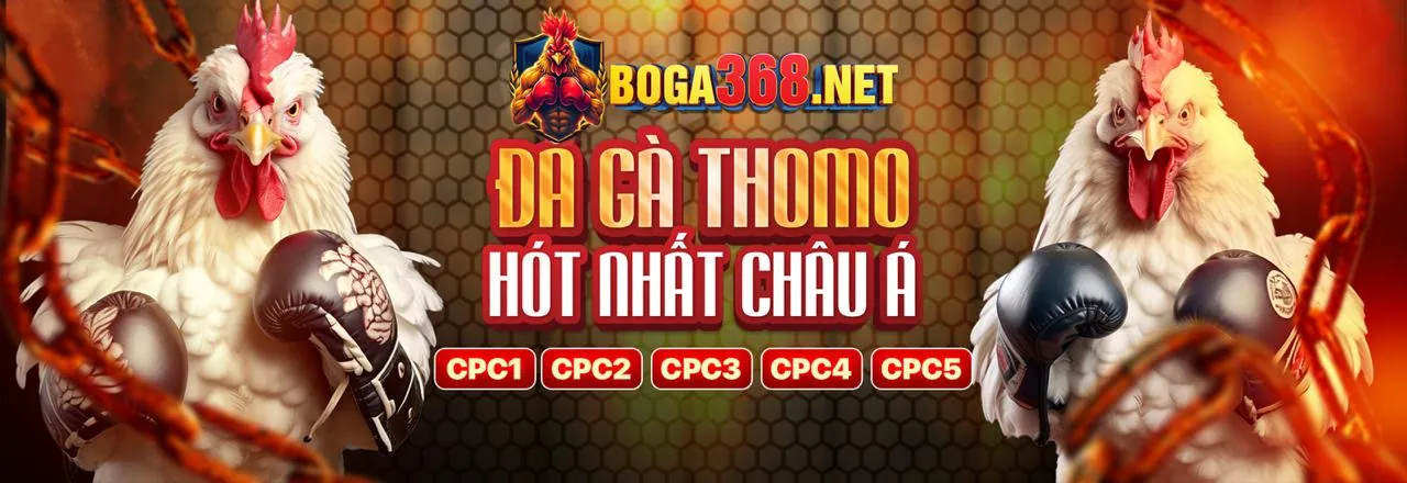Khuyến mãi Đá Gà MCW1188